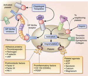 Platelet-Active Drugs